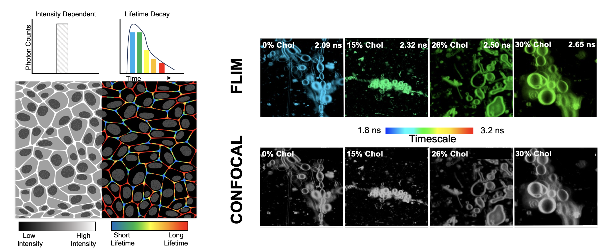 instrumentation development